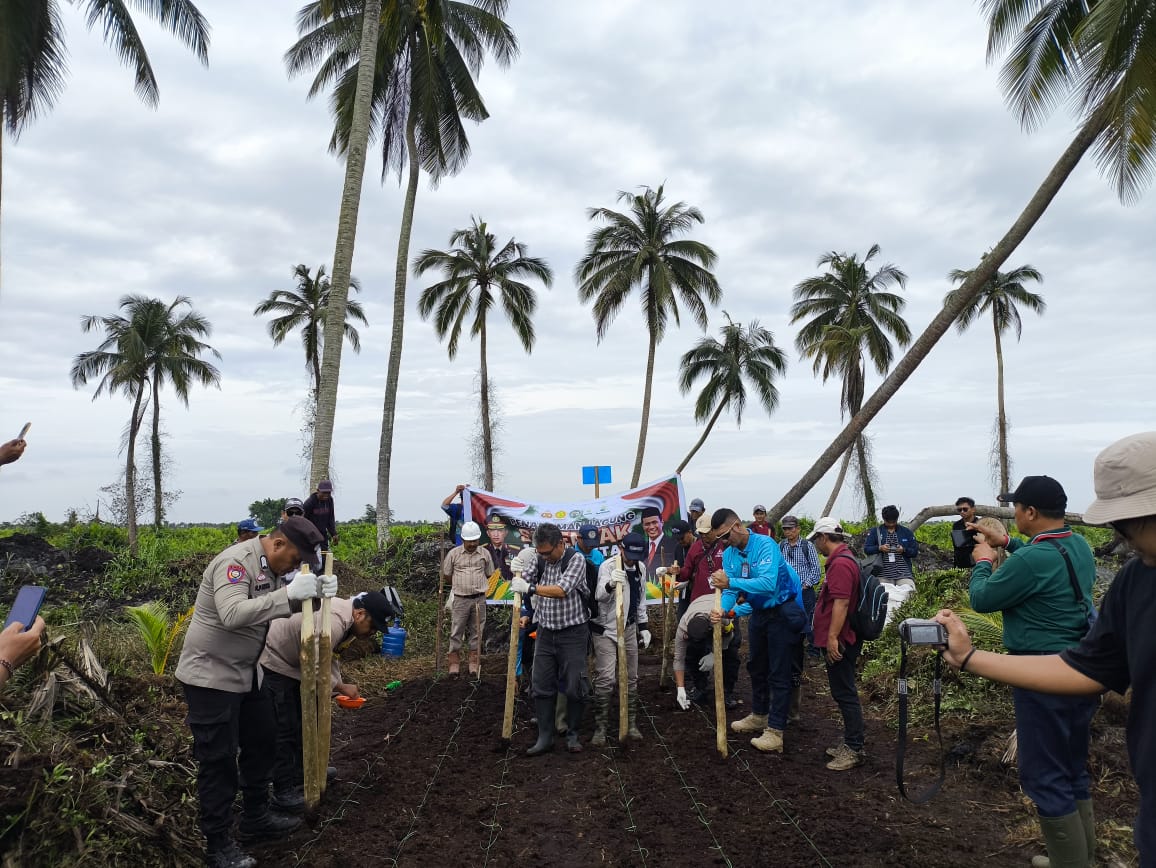 RSUP Tanam Jagung1