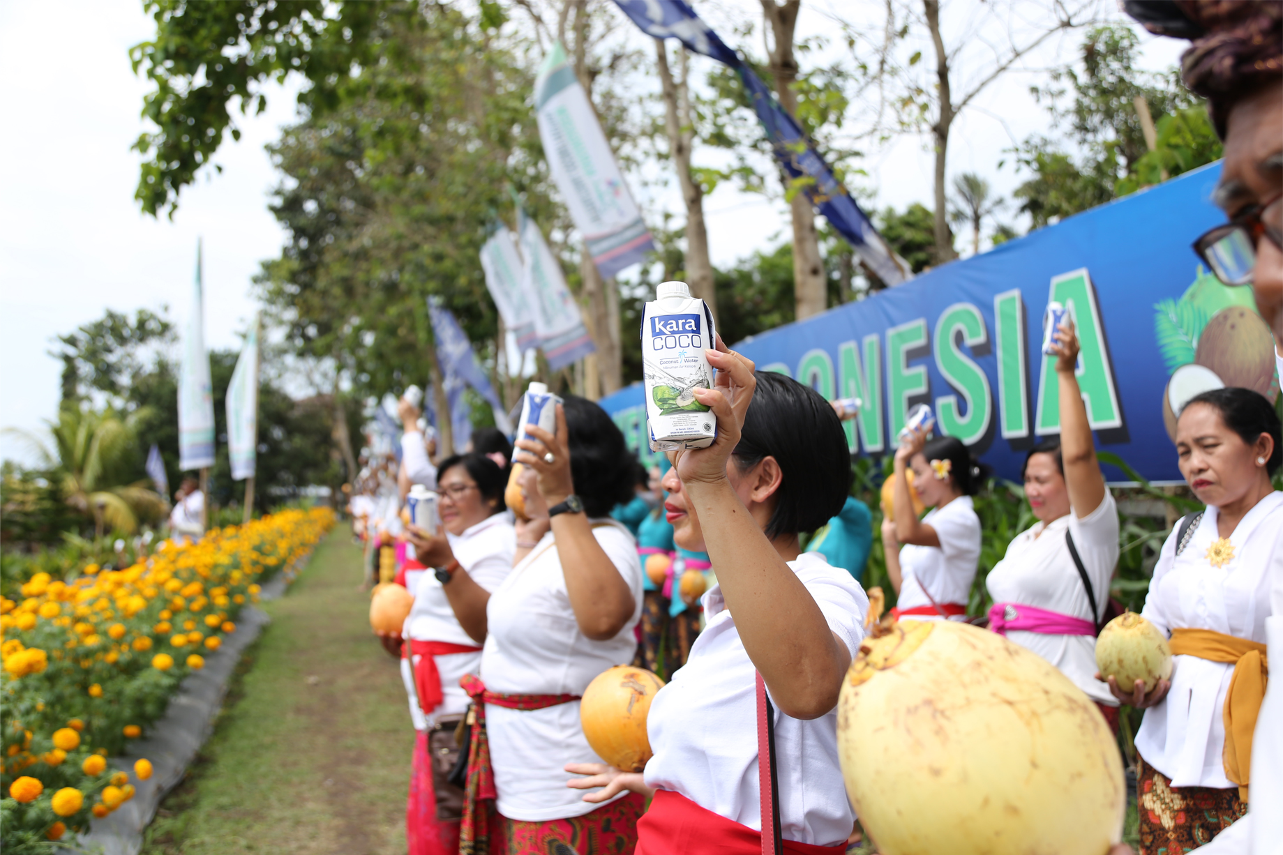 KARA Indonesia Promosikan Kebaikan Kelapa di Festival Kelapa Inter