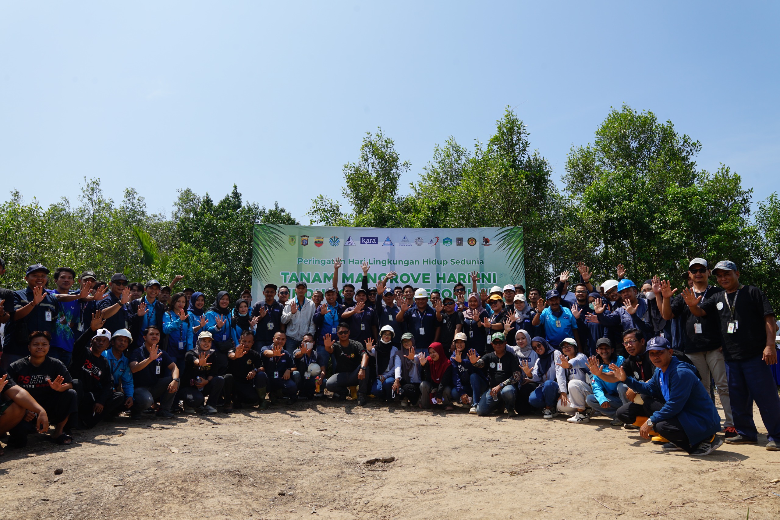 Tanam Mangrove 2025